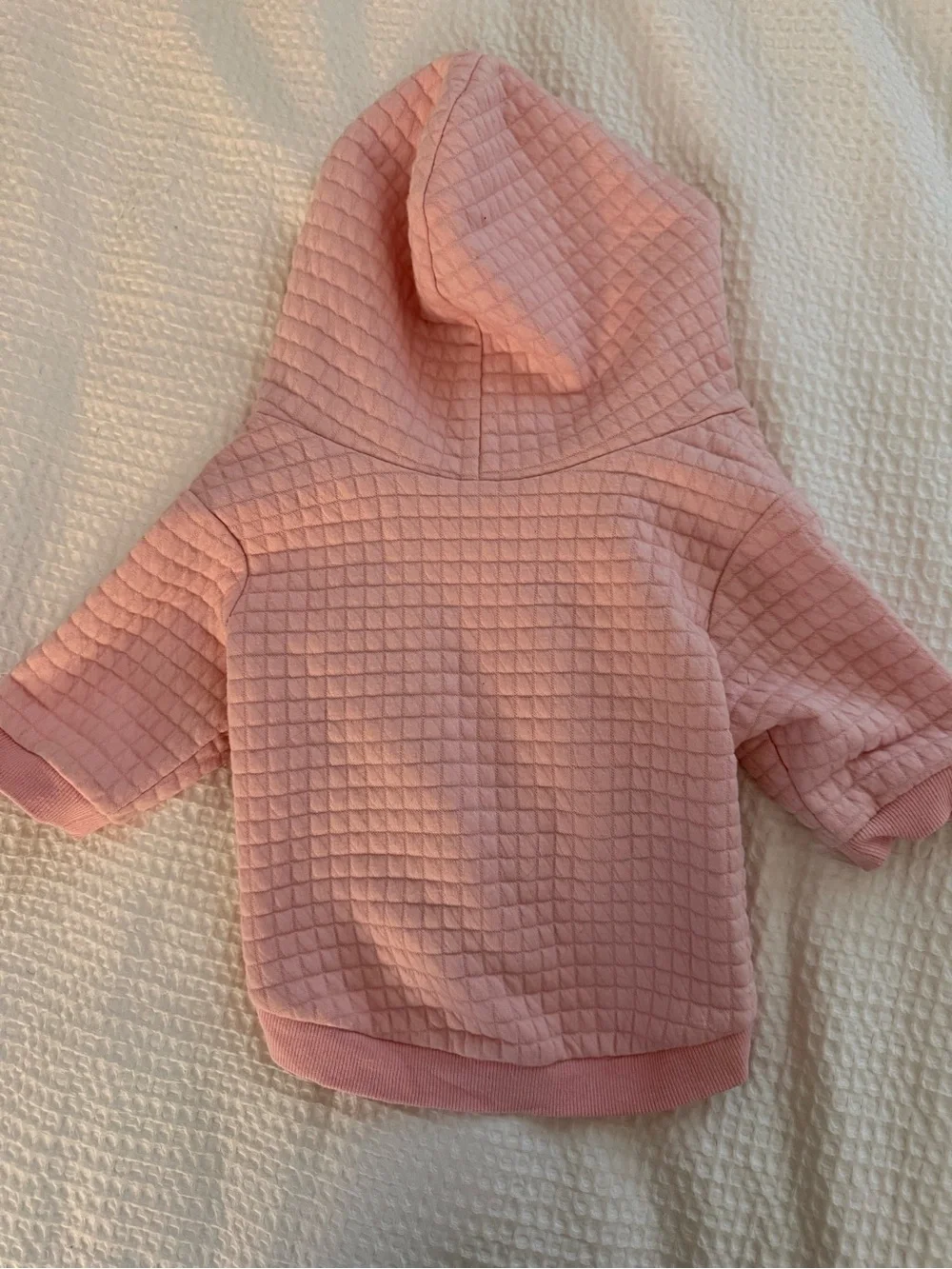 Pipolli Dog jacket